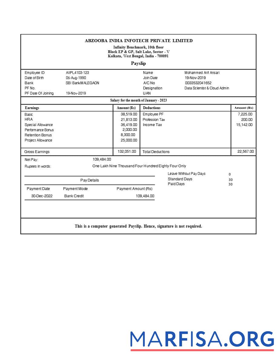 Downloadable Abzooba India Infotech payslip template